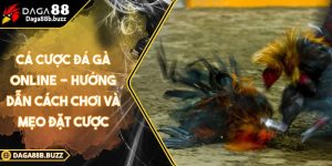 ca-cuoc-da-ga-online