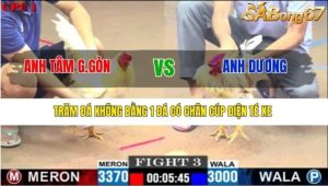 Trận 6 CPC 1/7/2025