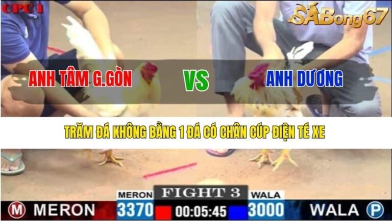 Trận 6 CPC 1/7/2025