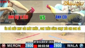trận 35 daga88