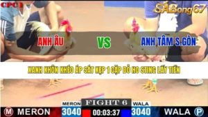 Trận 6 CPC 1/7/2025