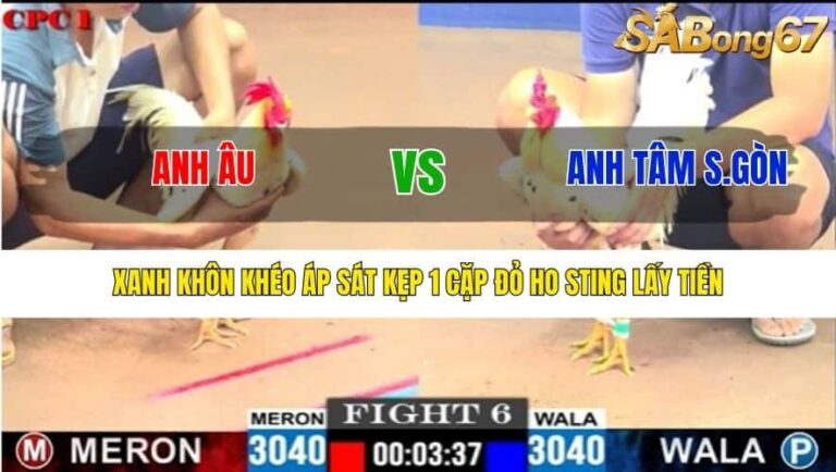 Trận 6 CPC 1/7/2025